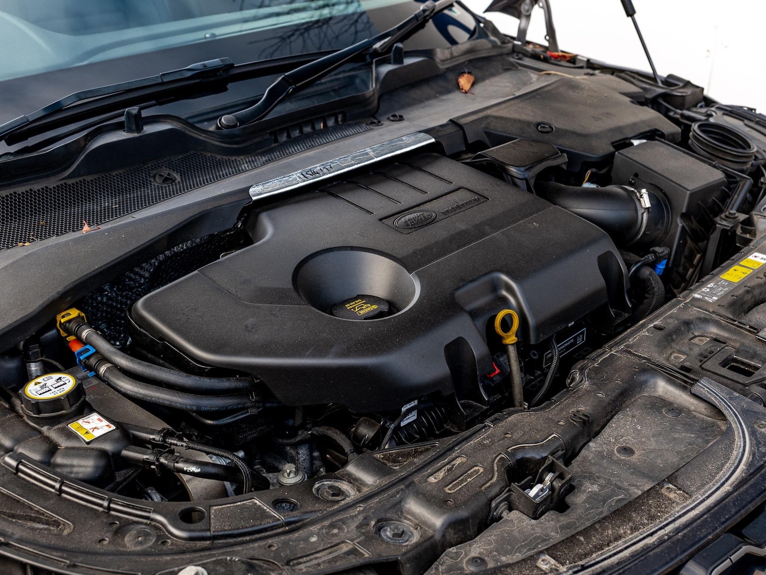 Used Land Rover Range Rover Evoque 2020 for sale - 77066576: Photo 42