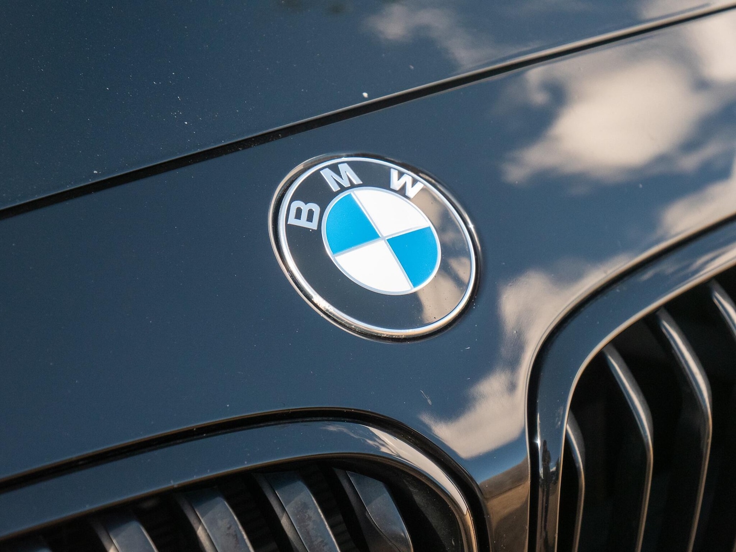 Used BMW 1 Series 2019 for sale - 76440465: Photo 15