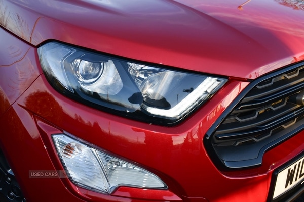 Used Ford Ecosport 2023 for sale - 77785074: Photo 4