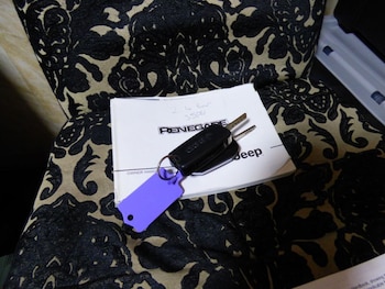 Used Jeep Renegade 2015 for sale - 77006578: Photo