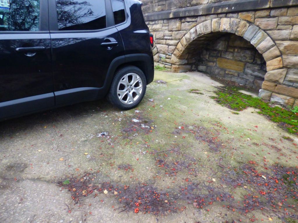 Used Jeep Renegade 2015 for sale - 77006578: Photo 5