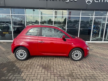 Fiat - 500