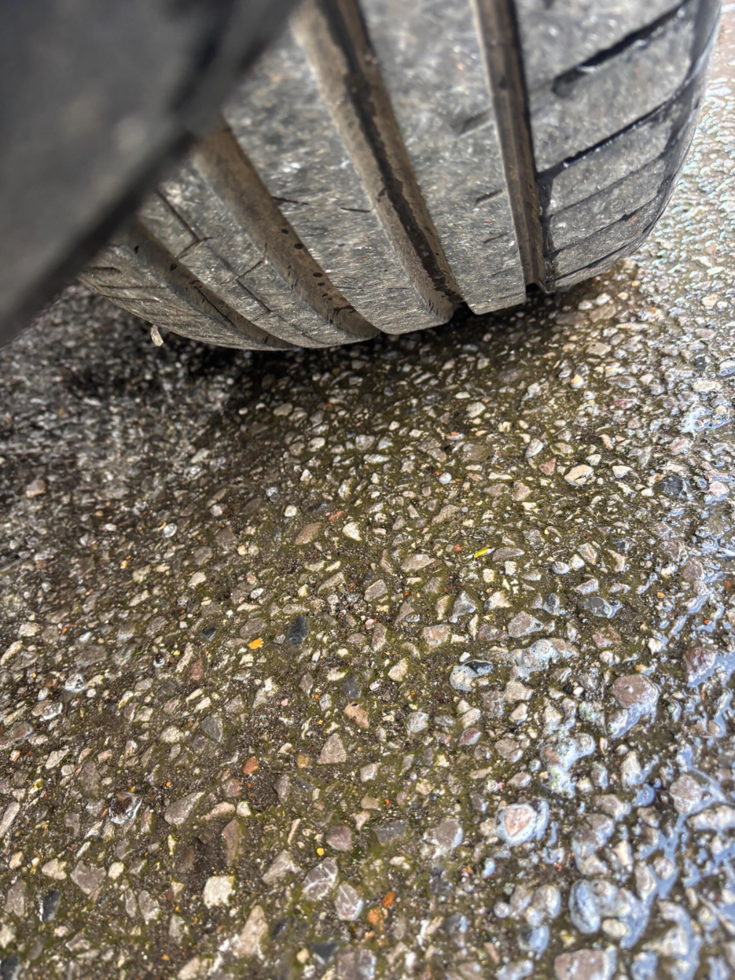 Used Volvo V50 2006 for sale - 78009247: Photo 7