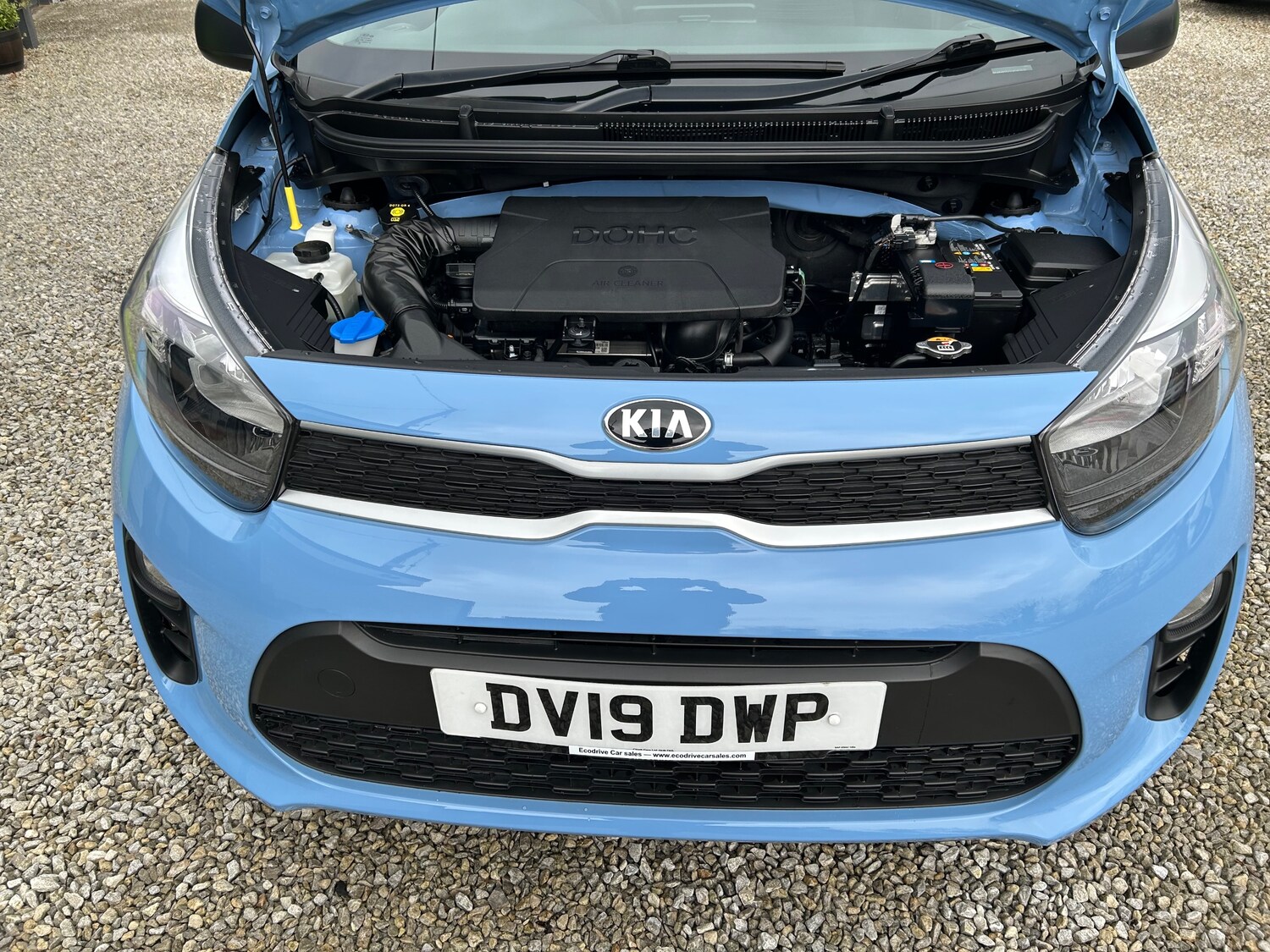 Used Kia Picanto 2019 for sale - 77879261: Photo 9