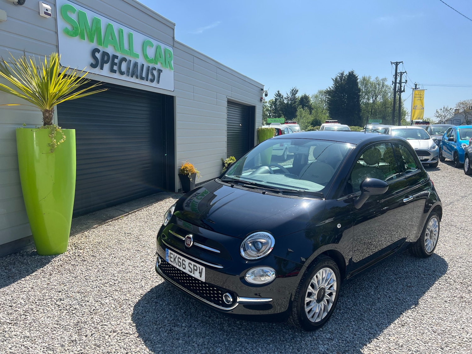 Used Fiat 500 2016 for sale - 77879270: Photo 12