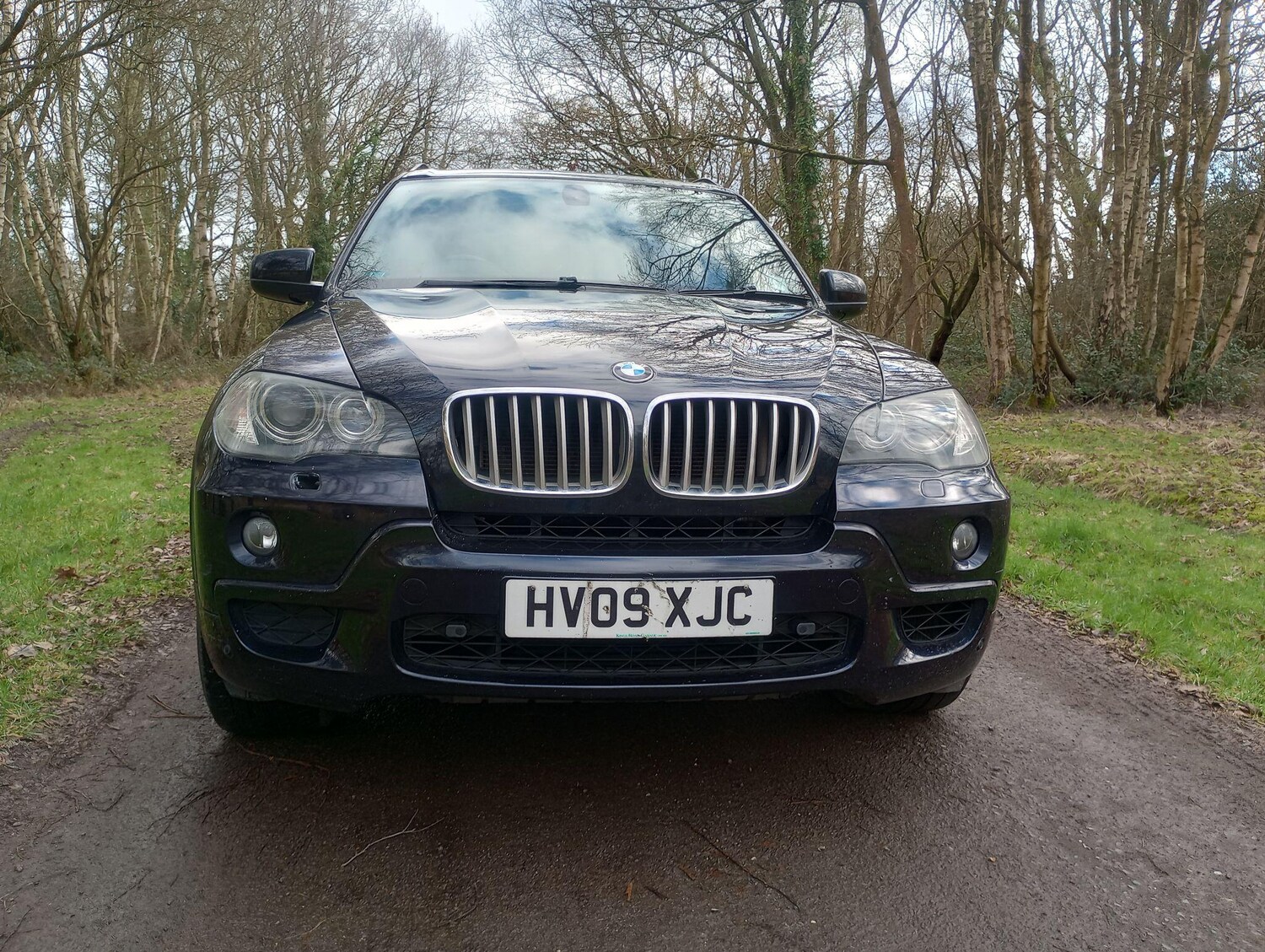 Used BMW X5 2009 for sale - 77966308: Photo 5