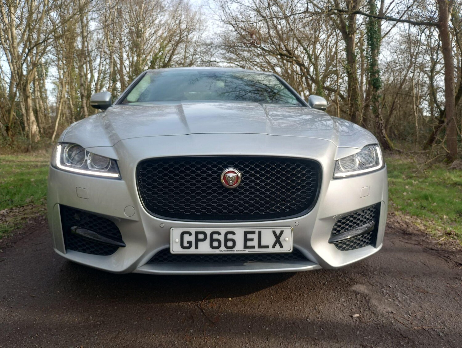 Used Jaguar XF 2017 for sale - 77966317: Photo 6