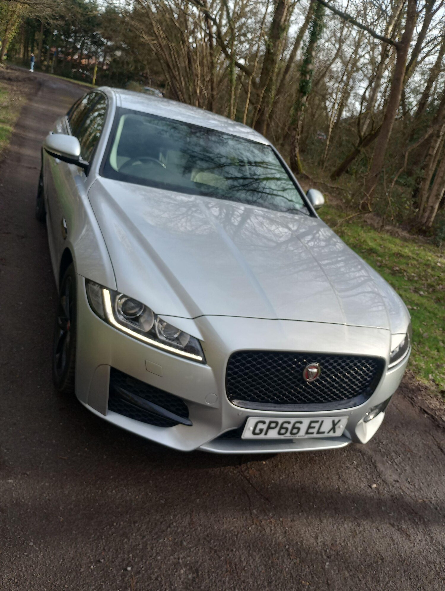 Used Jaguar XF 2017 for sale - 77966317: Photo 9