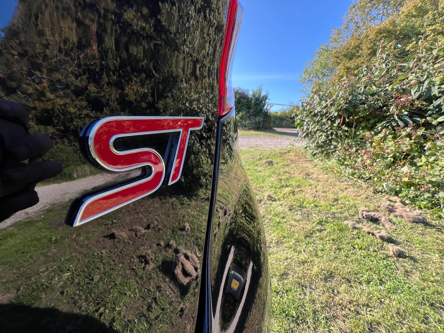 Used Ford Fiesta 2017 for sale - 77764060: Photo 12