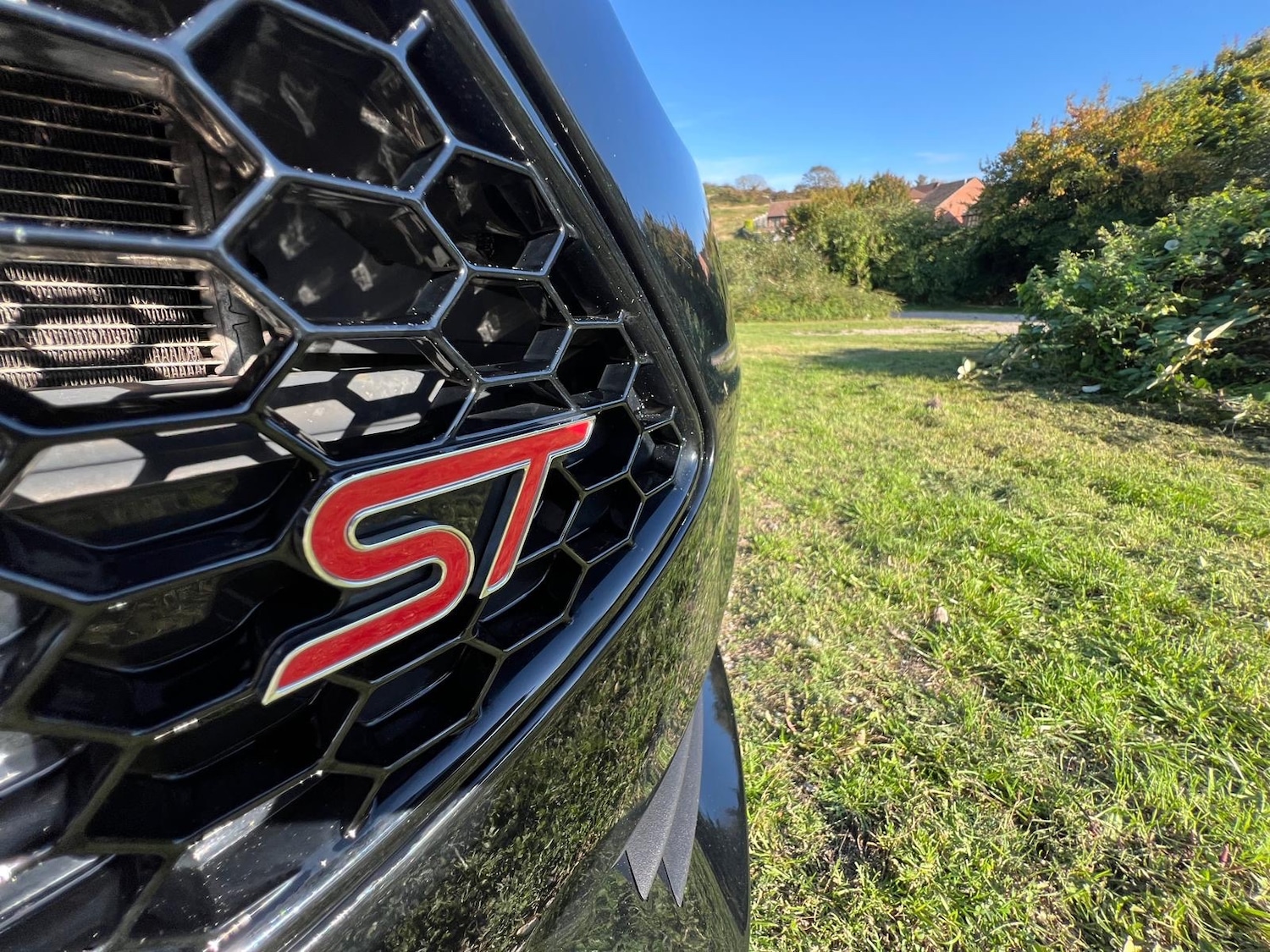 Used Ford Fiesta 2017 for sale - 77764060: Photo 6