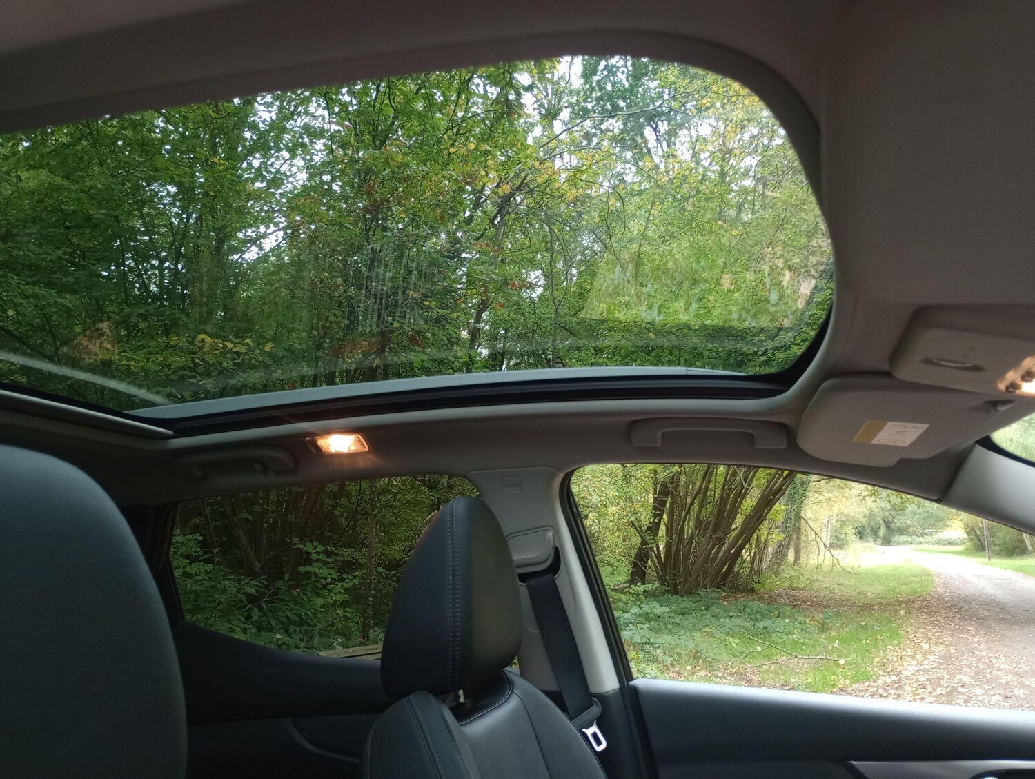 Used Nissan Qashqai 2019 for sale - 77966306: Photo 12