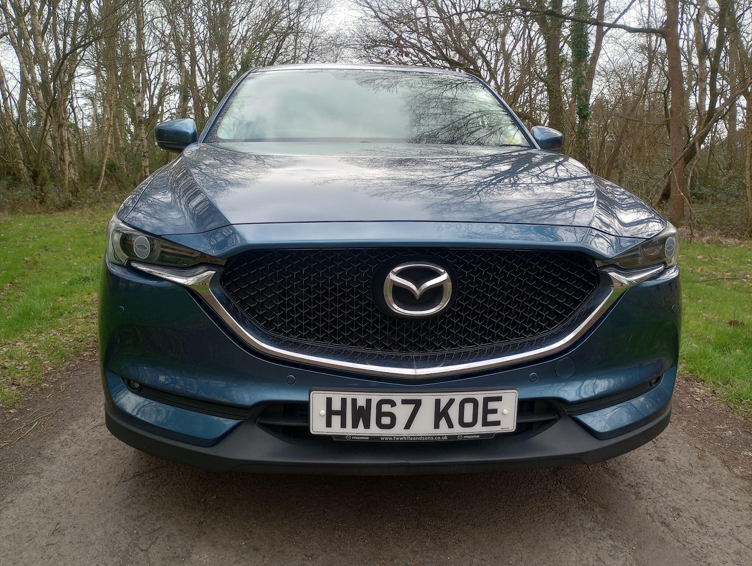 Used Mazda CX-5 2017 for sale - 77966315: Photo 8