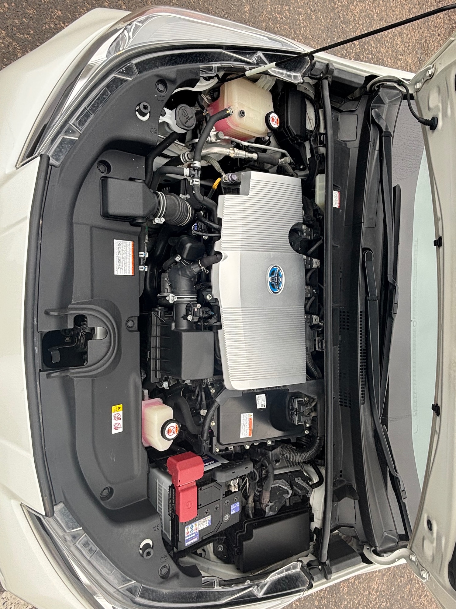 Used Toyota Prius 2025 for sale - 75713206: Photo 6