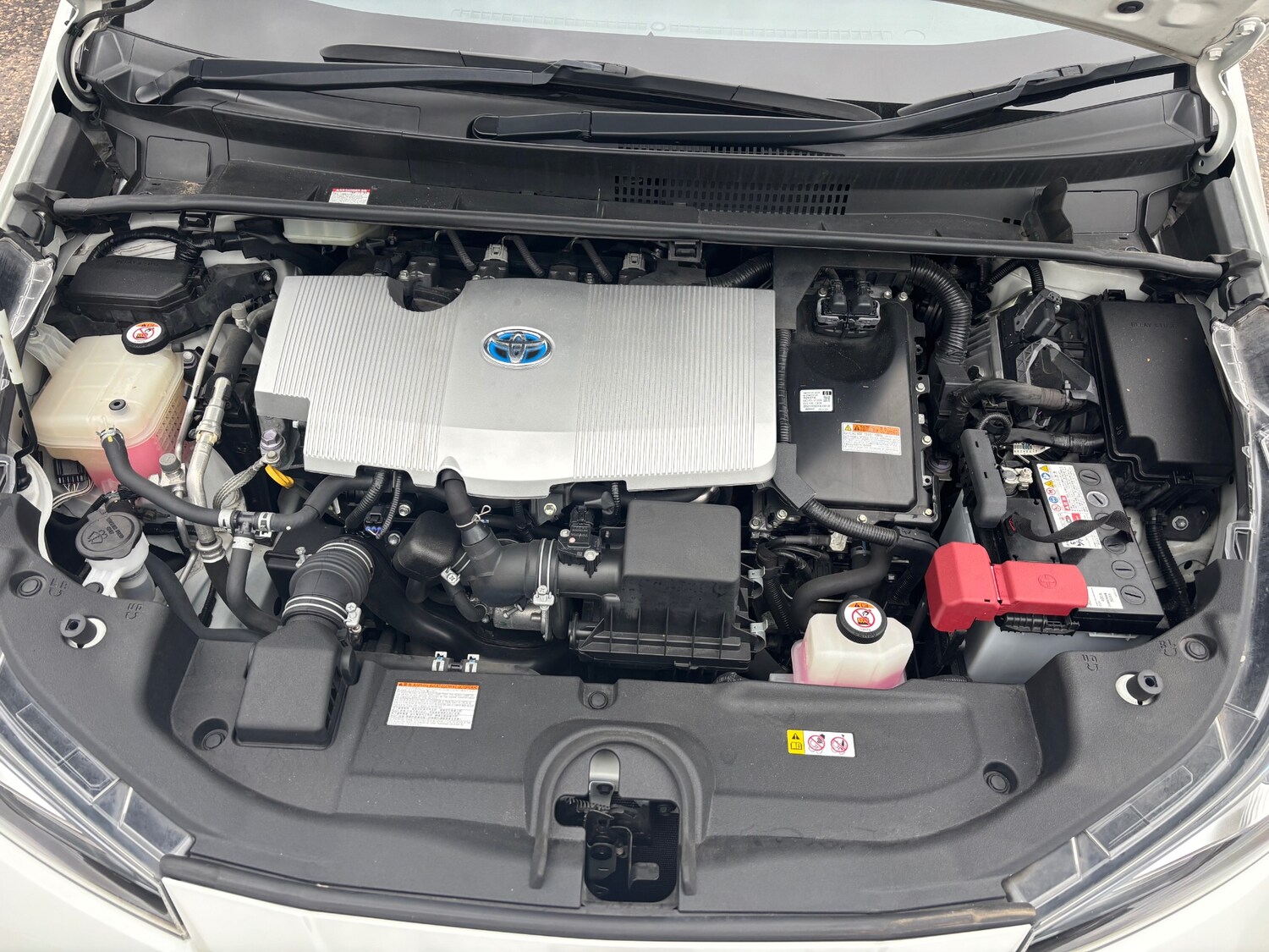 Used Toyota Prius 2025 for sale - 75713220: Photo 4