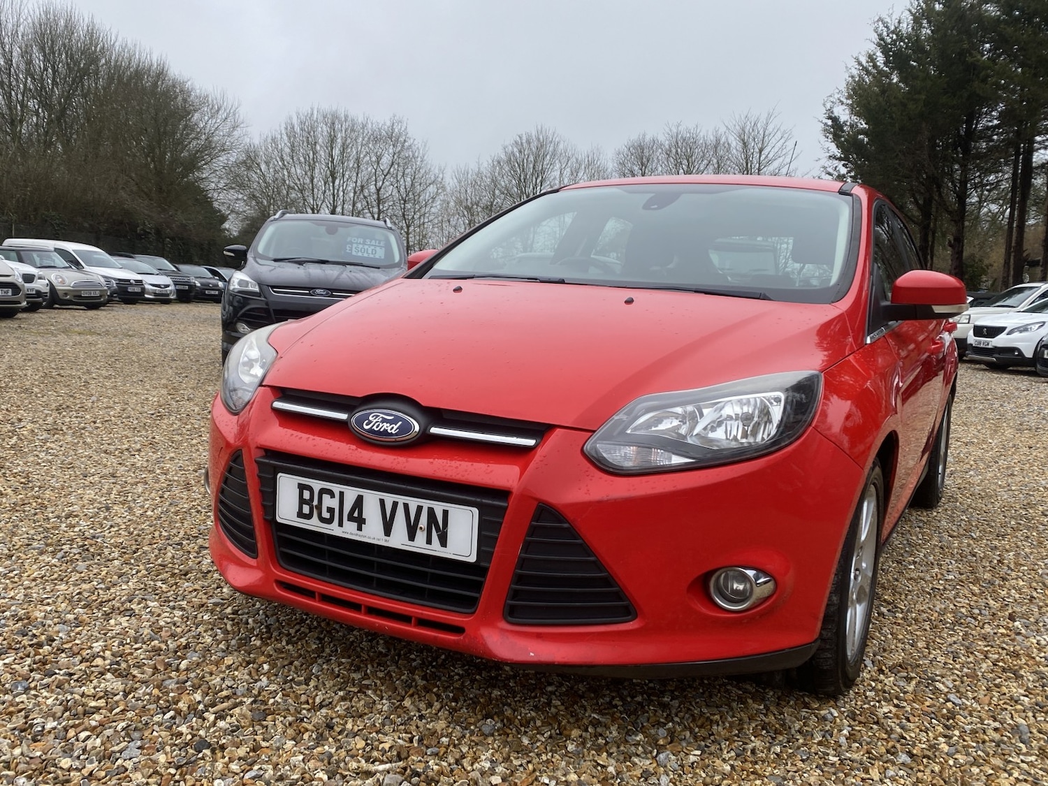 Used Ford Focus 2014 for sale - 77508550: Photo 10