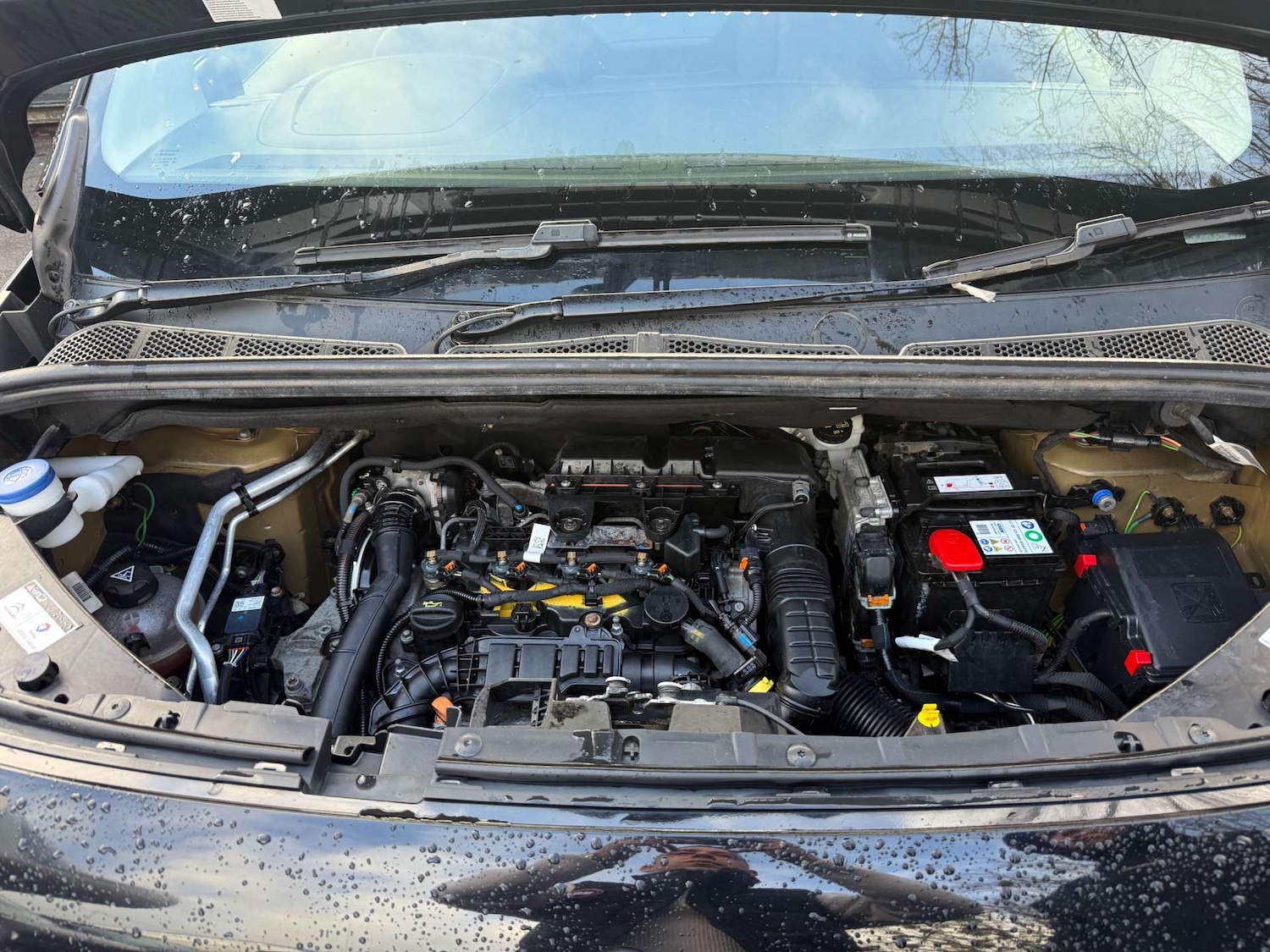 Used Citroen Berlingo 2021 for sale - 76856209: Photo 20