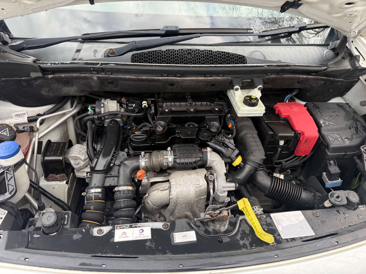 Used Citroen Berlingo 2017 for sale - 77782080: Photo 19