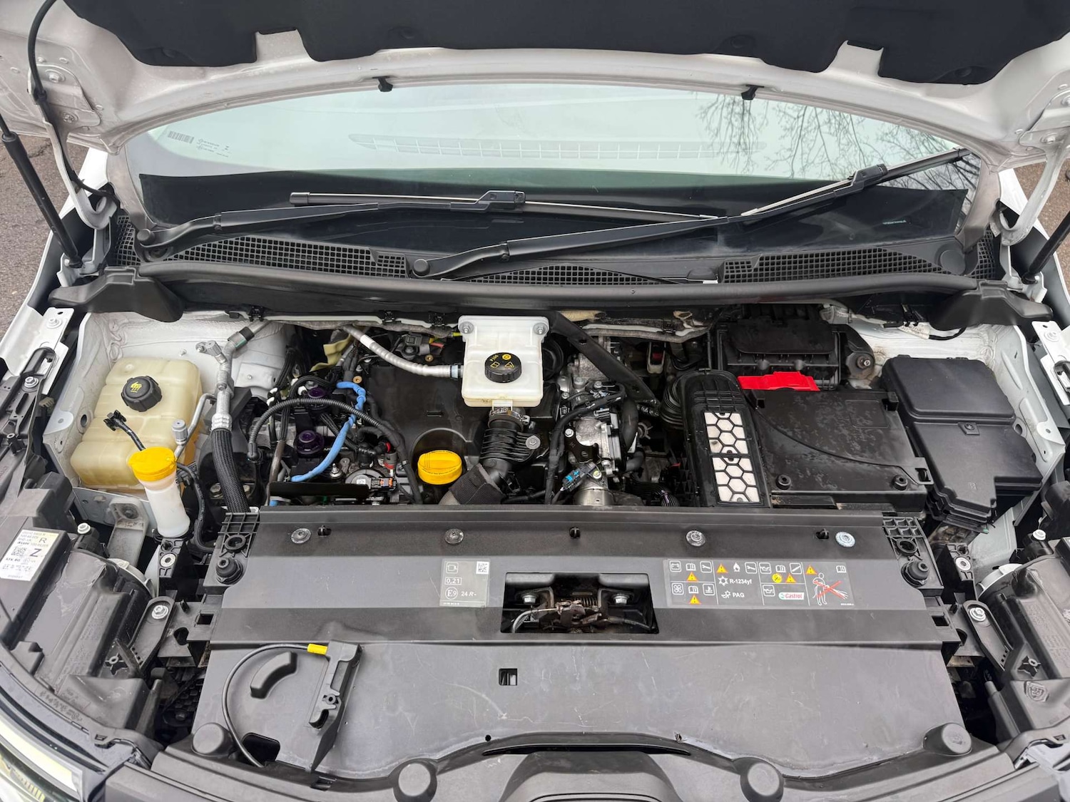 Used Renault Kangoo 2023 for sale - 76856208: Photo 18