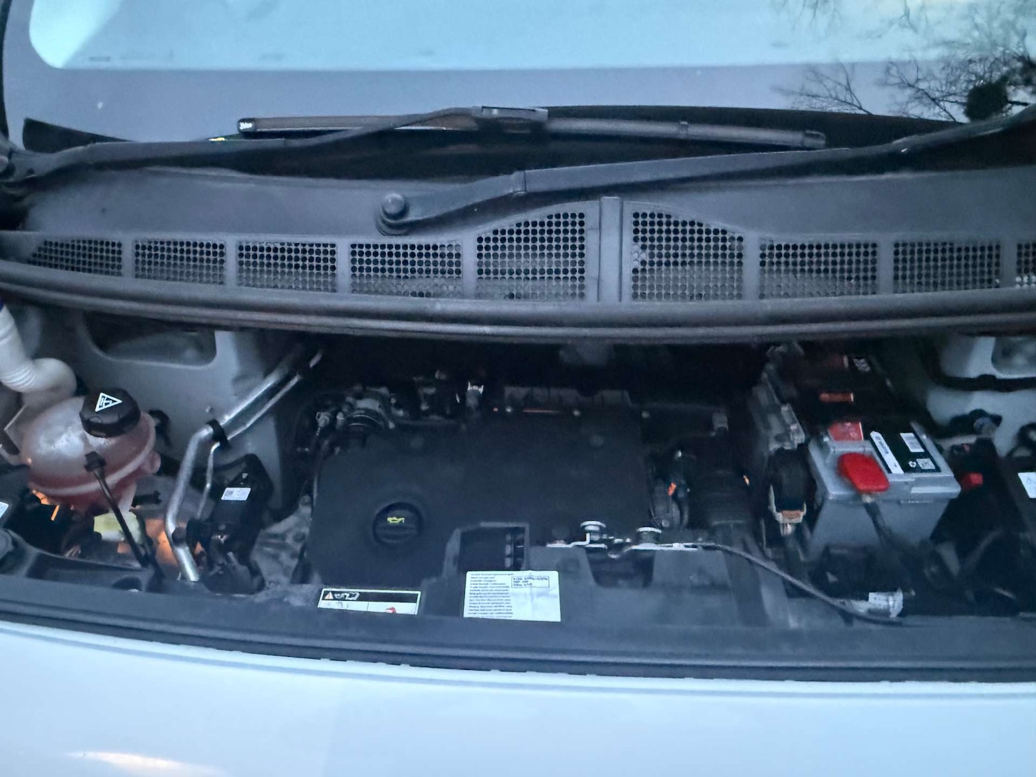 Used Citroen Dispatch 2020 for sale - 76588247: Photo 15