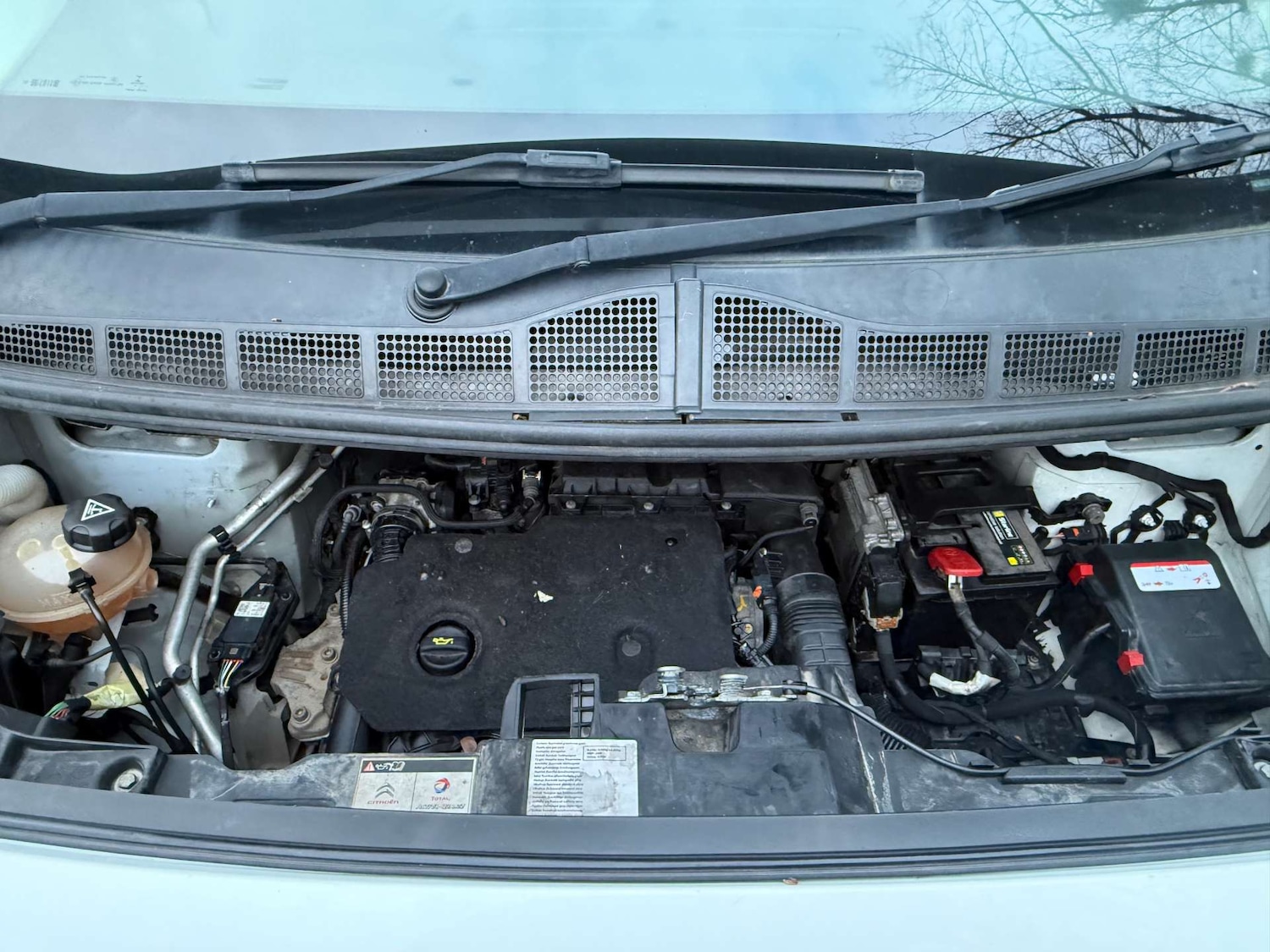 Used Citroen Dispatch 2019 for sale - 77319942: Photo 23