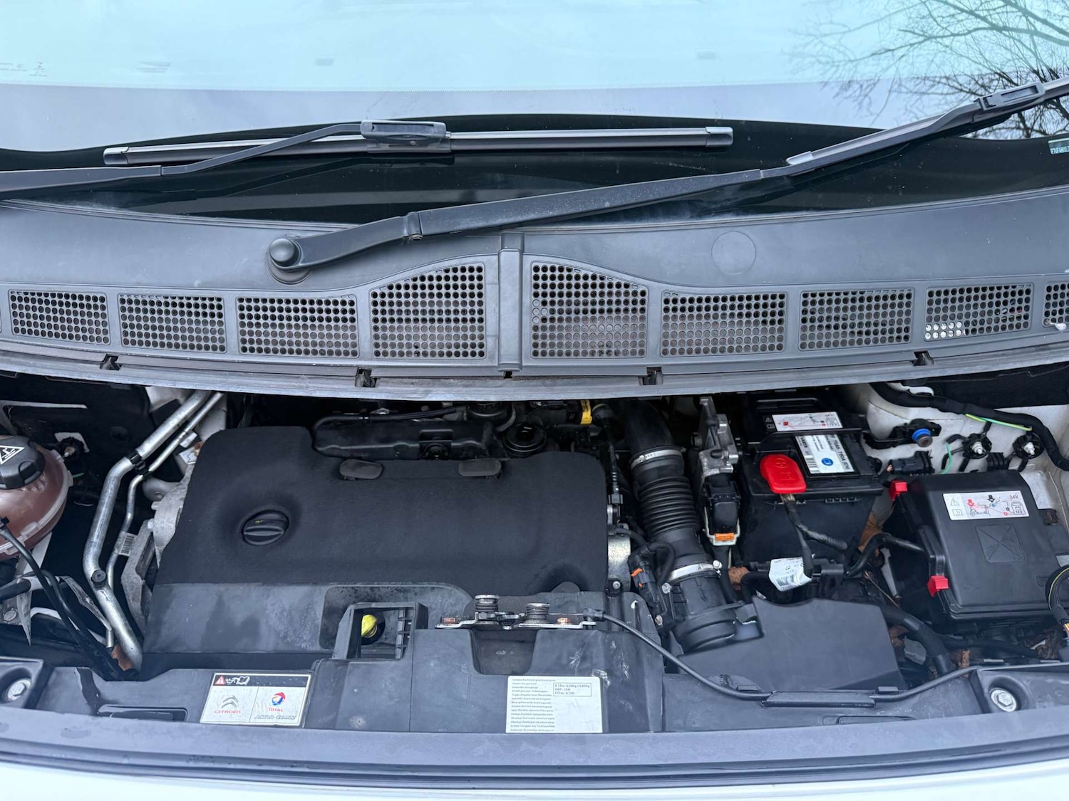 Used Citroen Dispatch 2020 for sale - 77321313: Photo 22