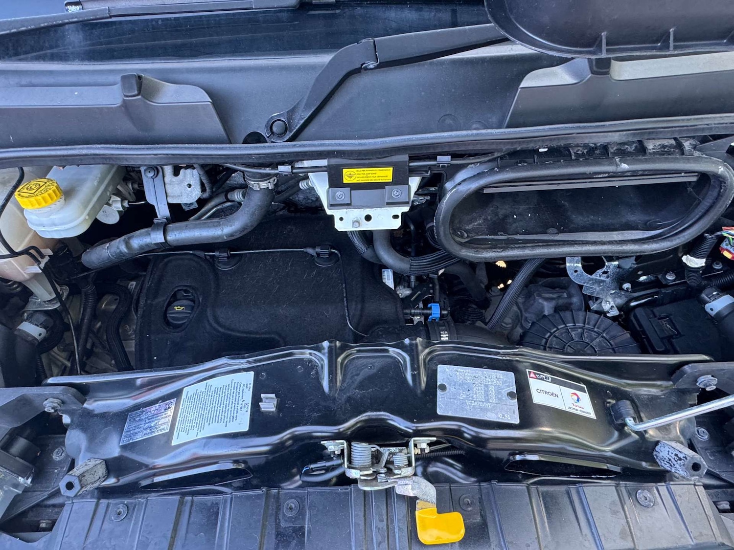 Used Citroen Relay 2019 for sale - 76277504: Photo 17