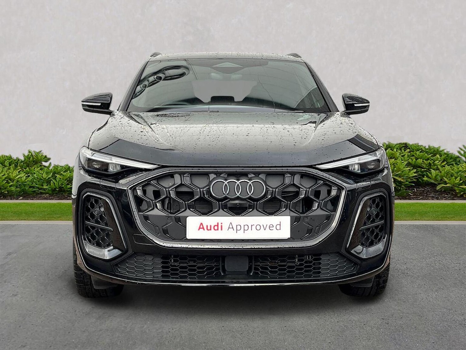 Used Audi Q5 2025 for sale - 76392450: Photo 5