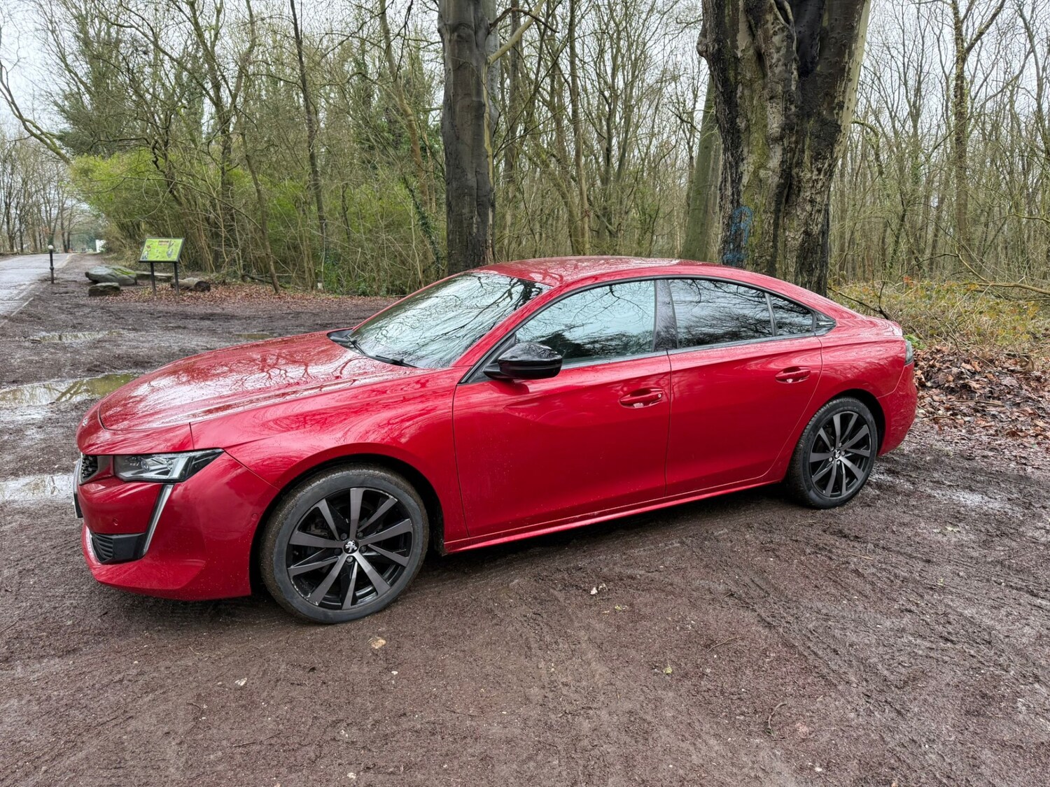 Used Peugeot 508 2019 for sale - 77760284: Photo 12