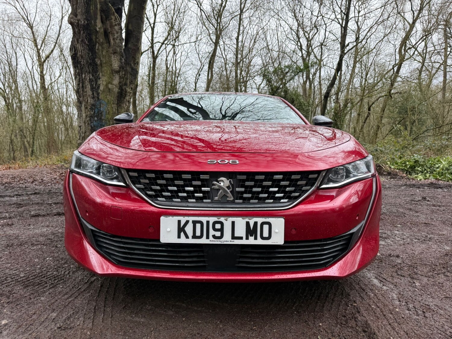 Used Peugeot 508 2019 for sale - 77760284: Photo 15