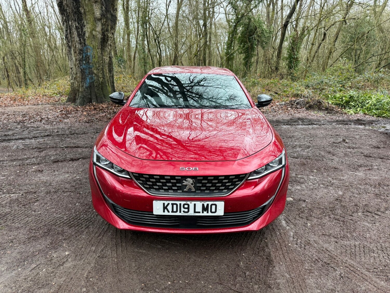 Used Peugeot 508 2019 for sale - 77760284: Photo 23