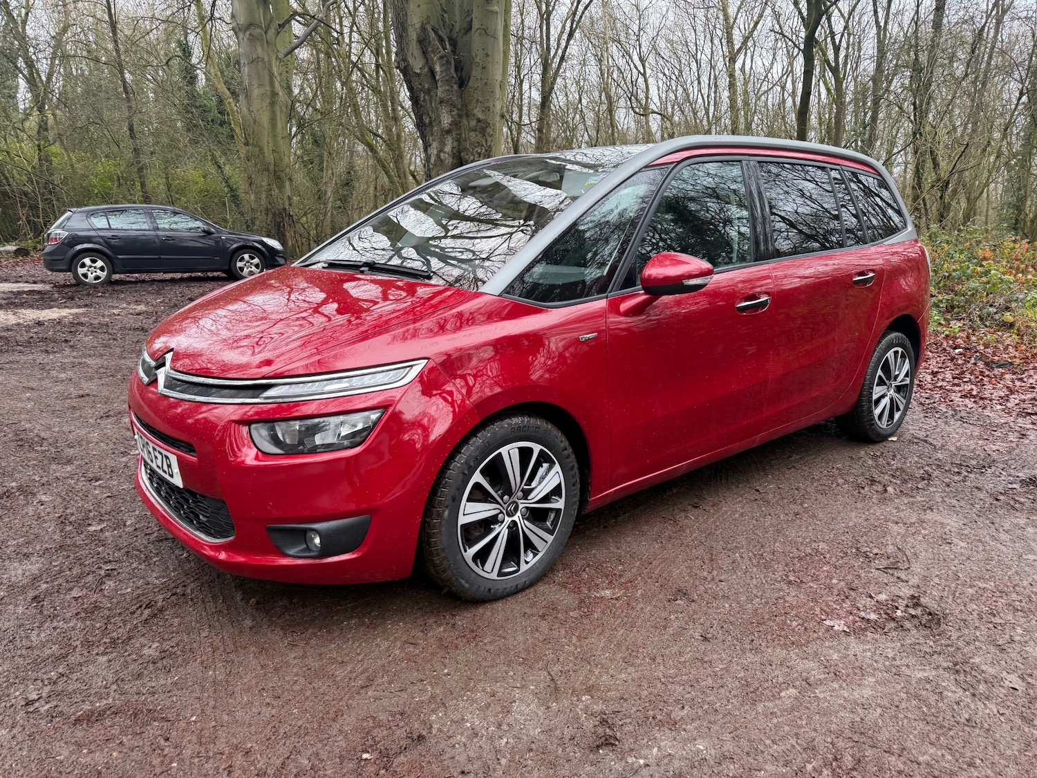 Used Citroen C4 Grand Picasso 2016 for sale - 76974111: Photo 12