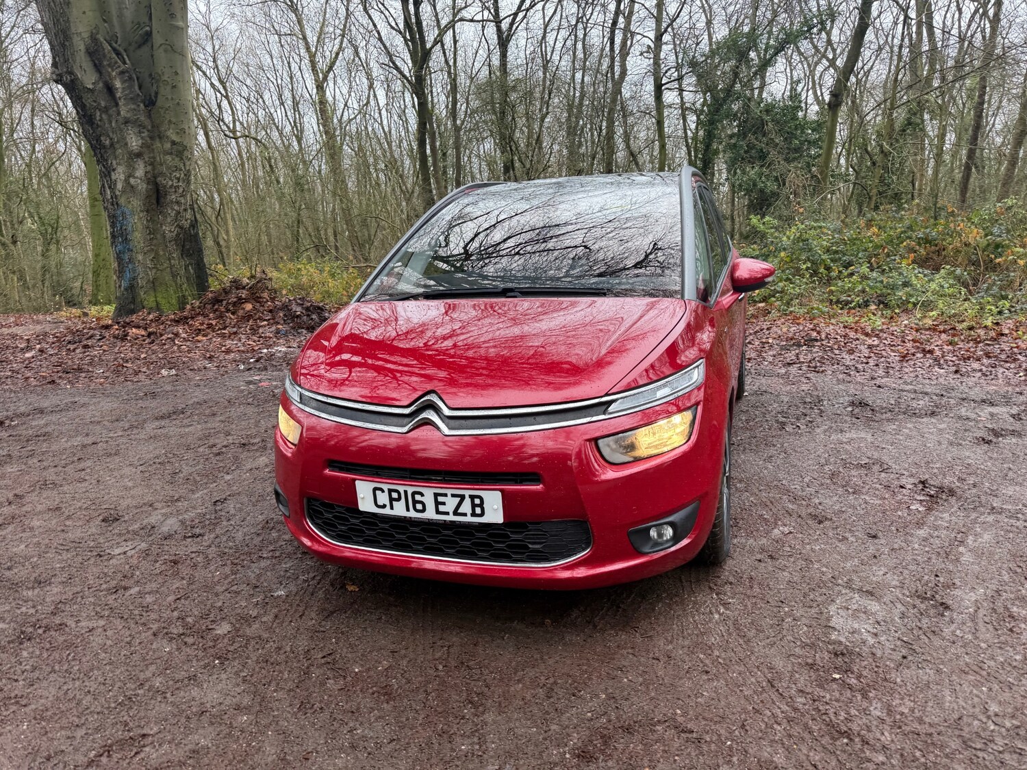 Used Citroen C4 Grand Picasso 2016 for sale - 76974111: Photo 4