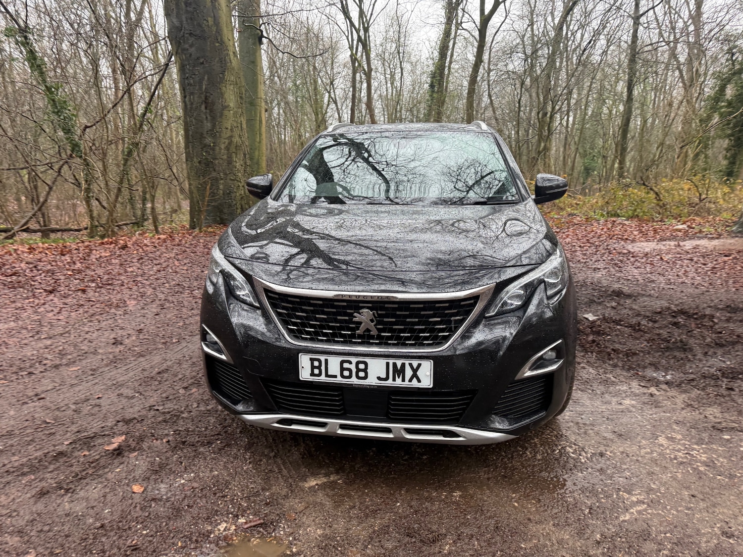 Used Peugeot 3008 2019 for sale - 77277503: Photo 4