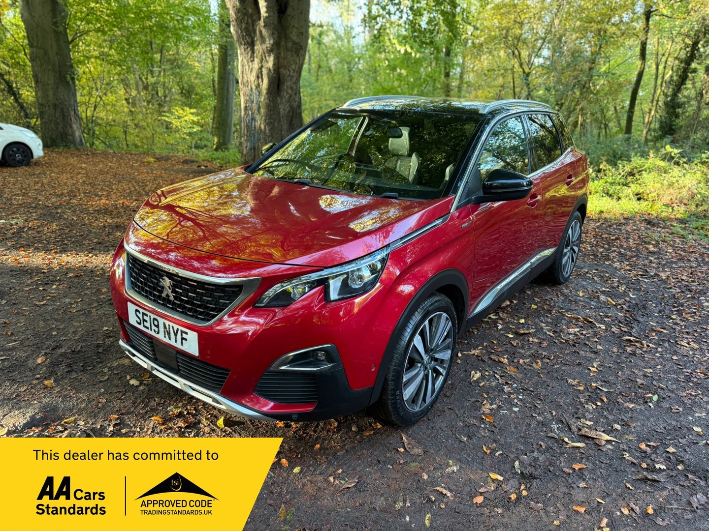 Used Peugeot 3008 2019 for sale - 76368398: Photo 1