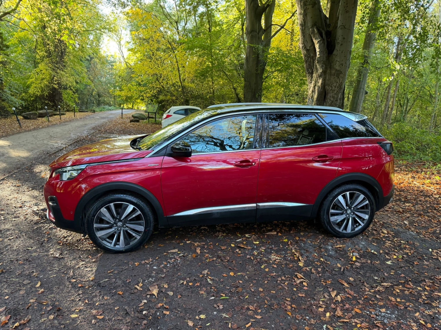 Used Peugeot 3008 2019 for sale - 76368398: Photo 20
