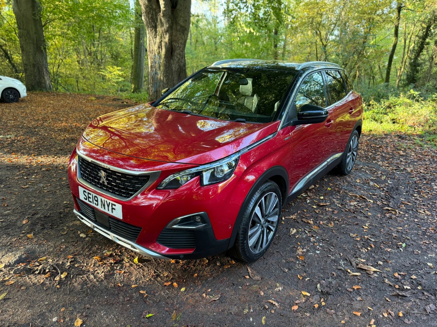 Used Peugeot 3008 2019 for sale - 76368398: Photo 5