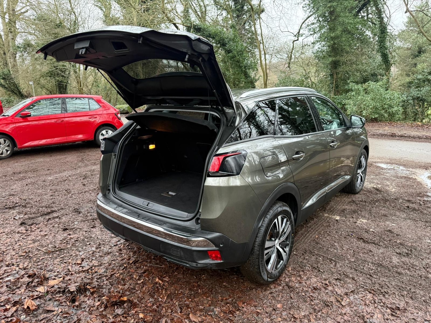 Used Peugeot 3008 2018 for sale - 77297955: Photo 17