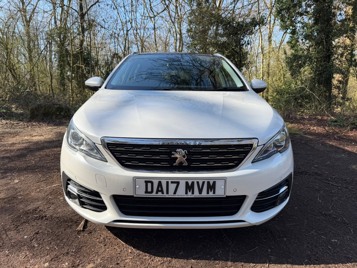 Used Peugeot 308 2017 for sale - 77932024: Photo 13