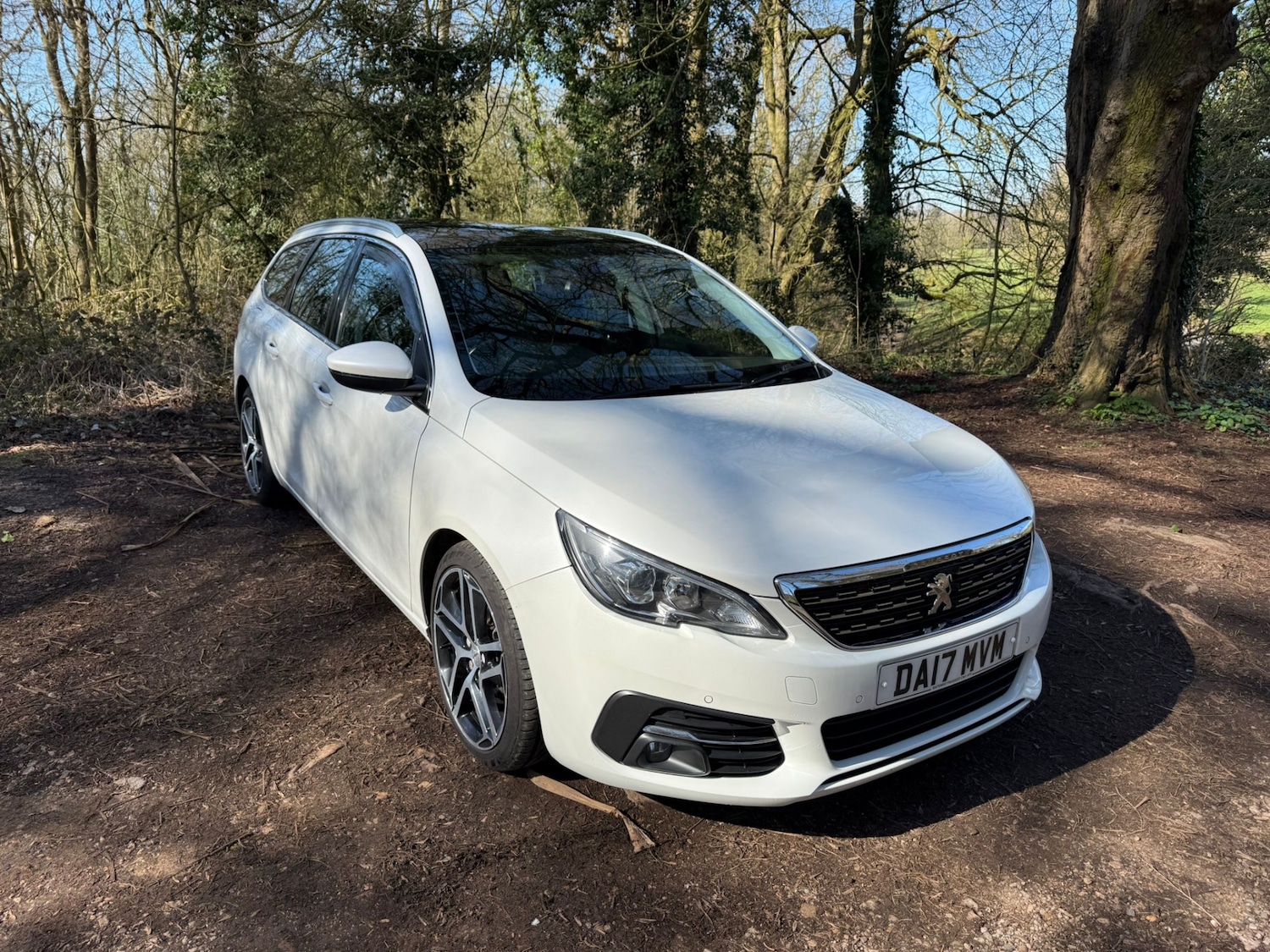 Used Peugeot 308 2017 for sale - 77932024: Photo 19