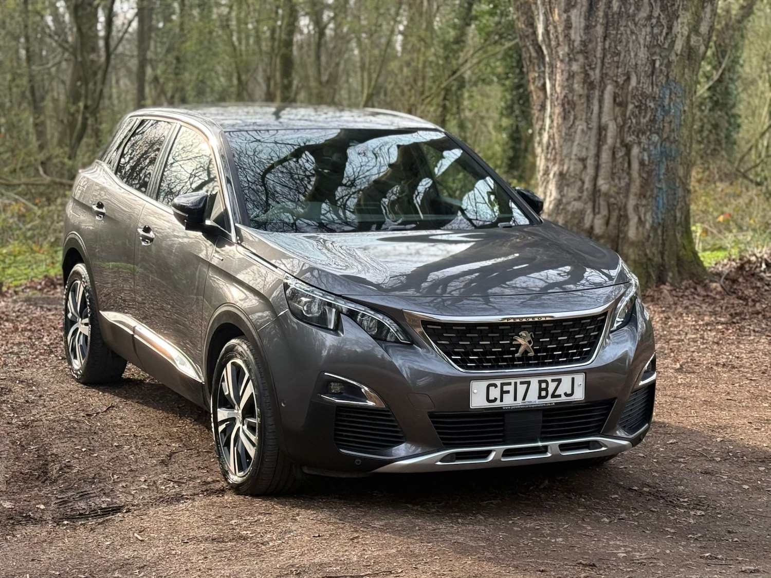 Used Peugeot 3008 2017 for sale - 77983772: Photo 5