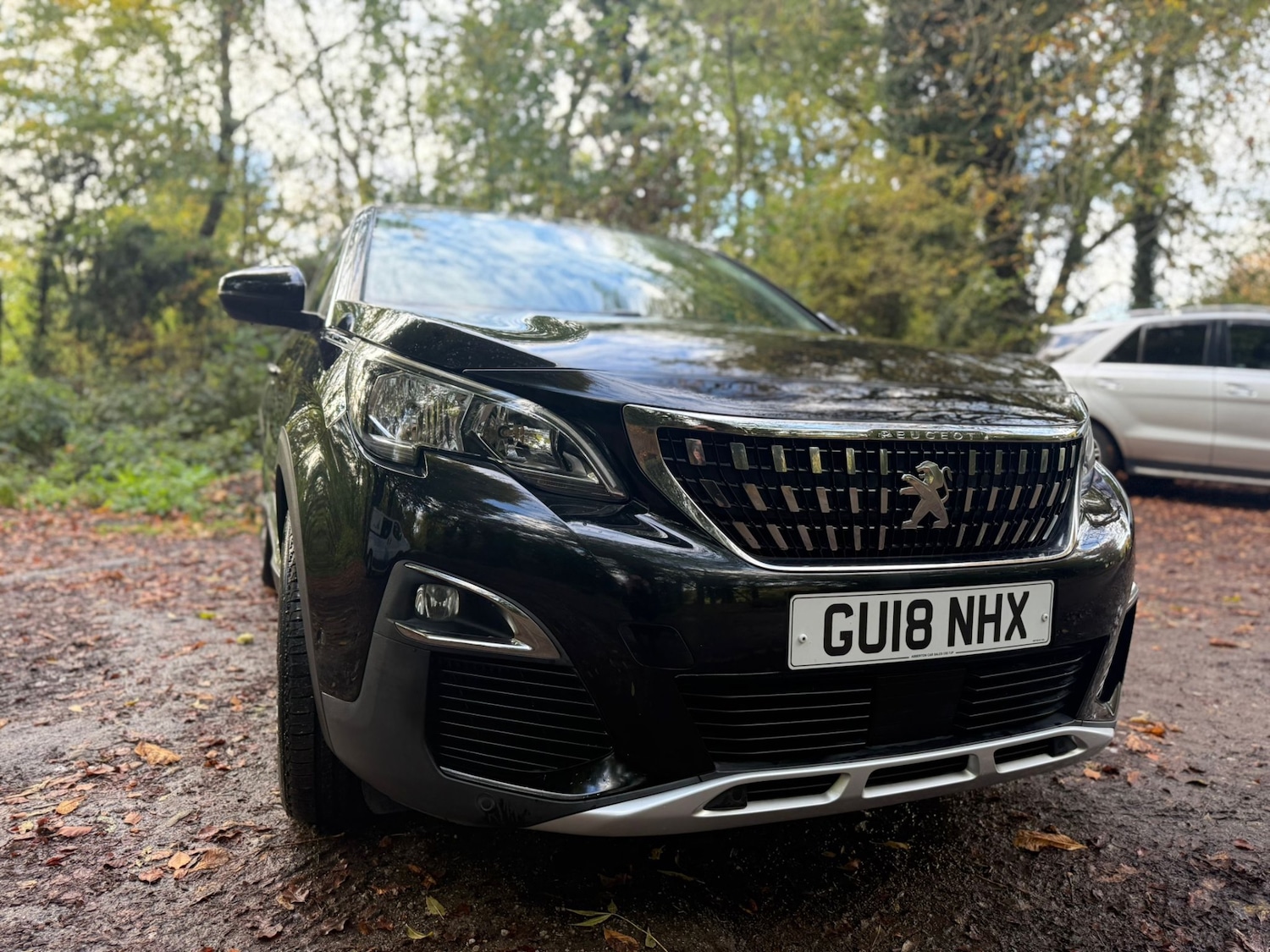 Used Peugeot 3008 2018 for sale - 76357844: Photo 18