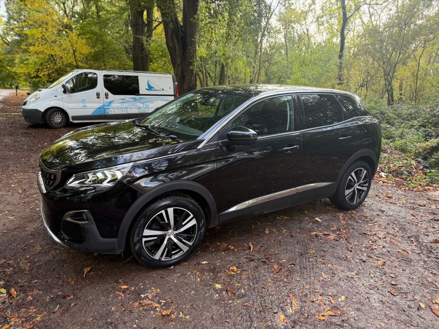 Used Peugeot 3008 2018 for sale - 76357844: Photo 8