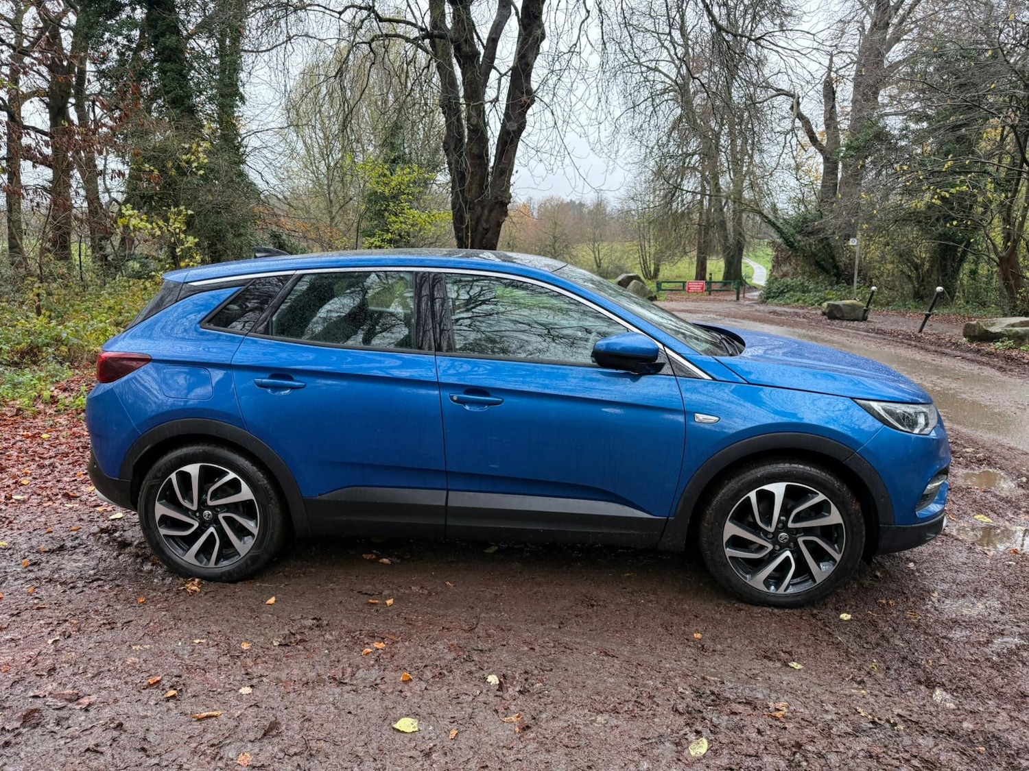 Used Vauxhall Grandland X 2019 for sale - 76762631: Photo 10