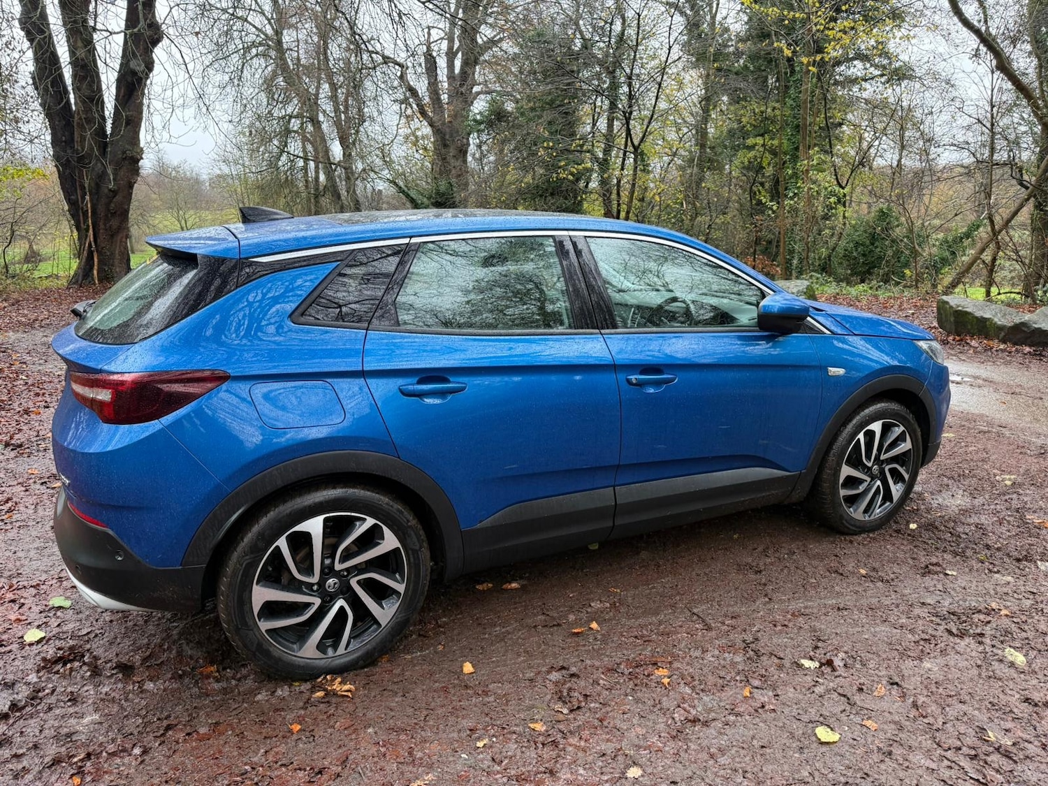 Used Vauxhall Grandland X 2019 for sale - 76762631: Photo 11