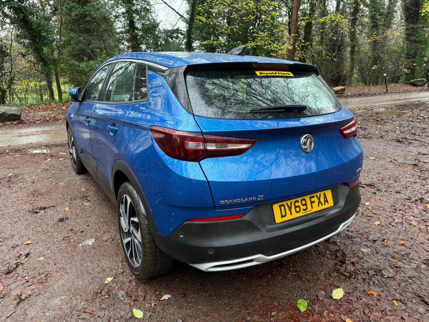Used Vauxhall Grandland X 2019 for sale - 76762631: Photo 13