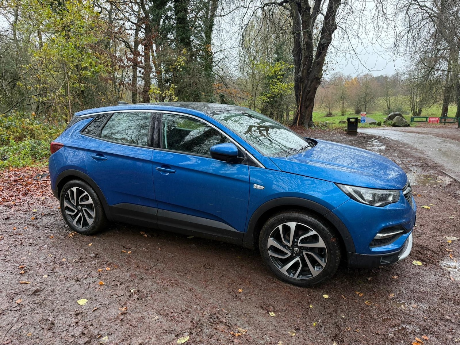 Used Vauxhall Grandland X 2019 for sale - 76762631: Photo 17