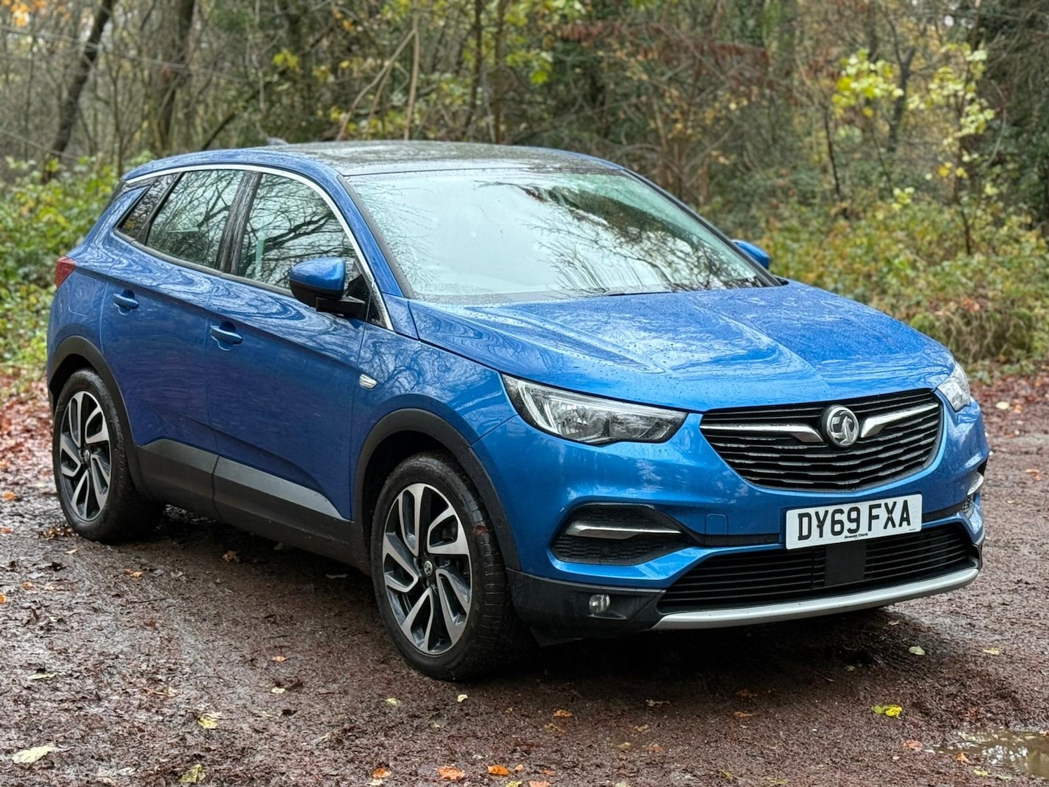 Used Vauxhall Grandland X 2019 for sale - 76762631: Photo 18