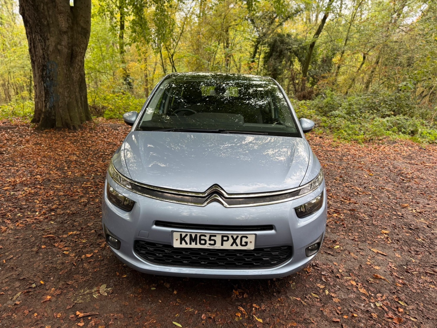 Used Citroen C4 Grand Picasso 2015 for sale - 76358252: Photo 14