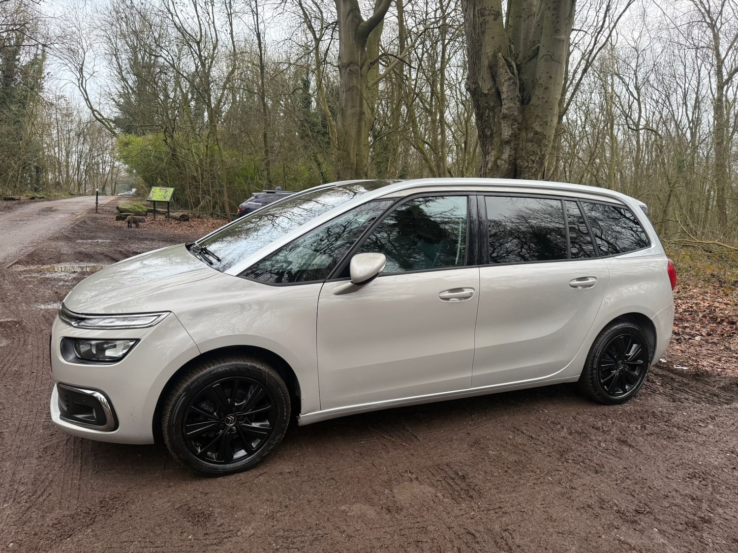 Used Citroen C4 Grand Picasso 2018 for sale - 77367267: Photo 11
