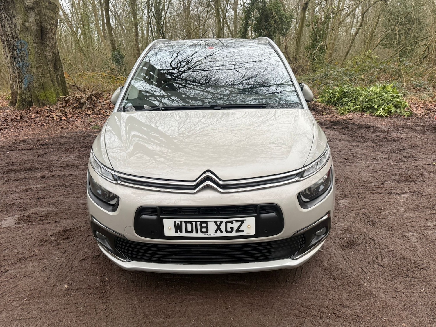 Used Citroen C4 Grand Picasso 2018 for sale - 77367267: Photo 15